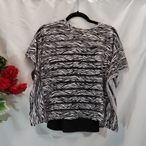 lei Other - SALE!! Lei Sheer Zebra Top With Cami